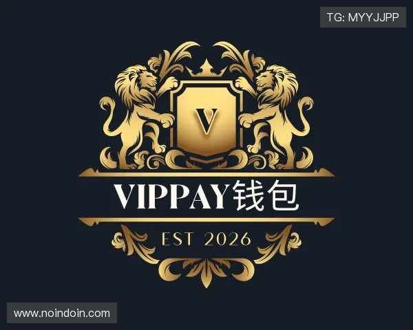 关于VipPay钱包